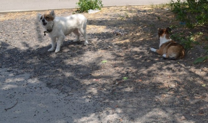    фото из архива редакции Редактор