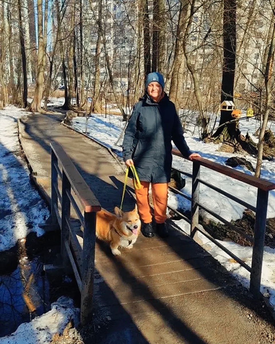 Корги Бильбо с Леной на мосту через Рождественский ручей