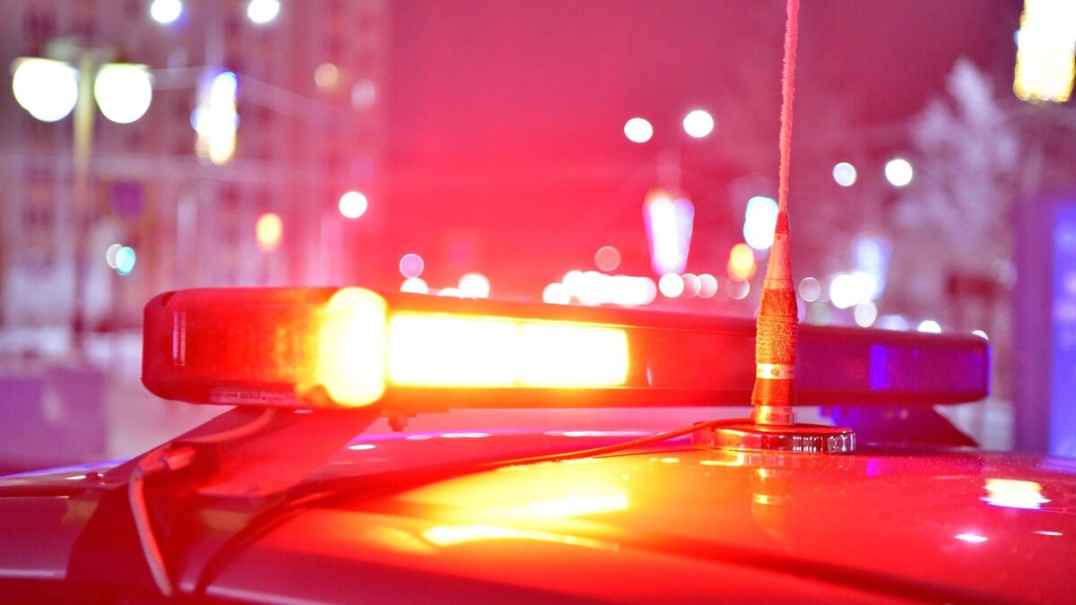    Фото: Андрей Ткачев/«Ямал-Медиа»