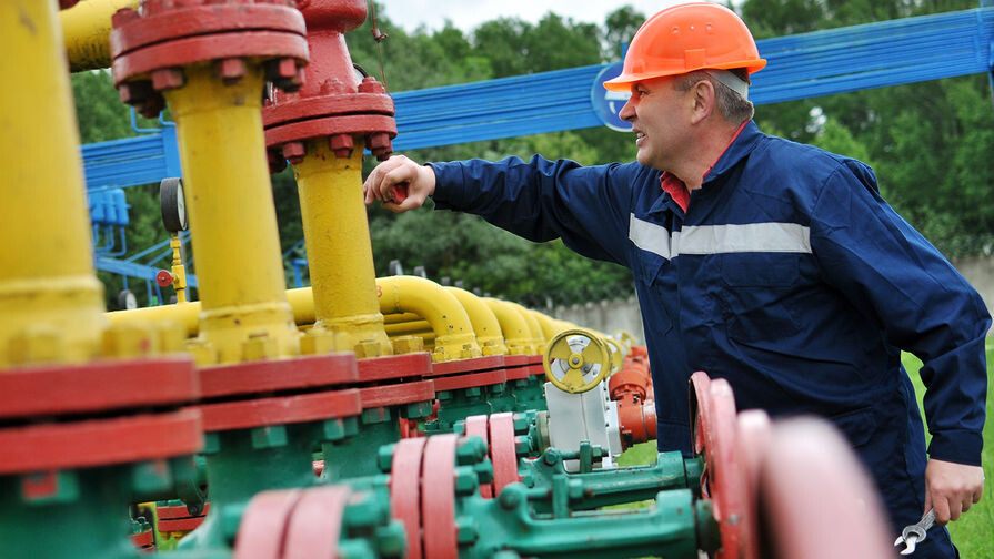 Danil Shamkin/ZUMAPRESS.com/Global Look Press   📷