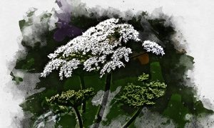 Изображение от DejaVu Designs на Freepik  📷
