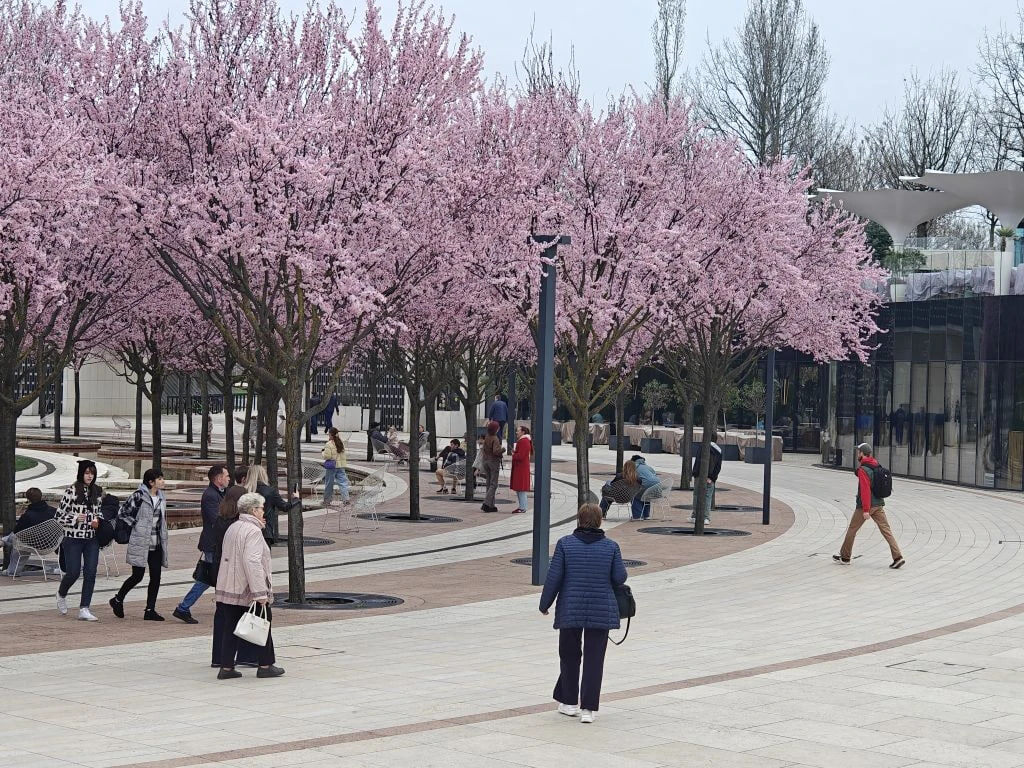    Фото: Юрий Серебренников/BFM Кубань