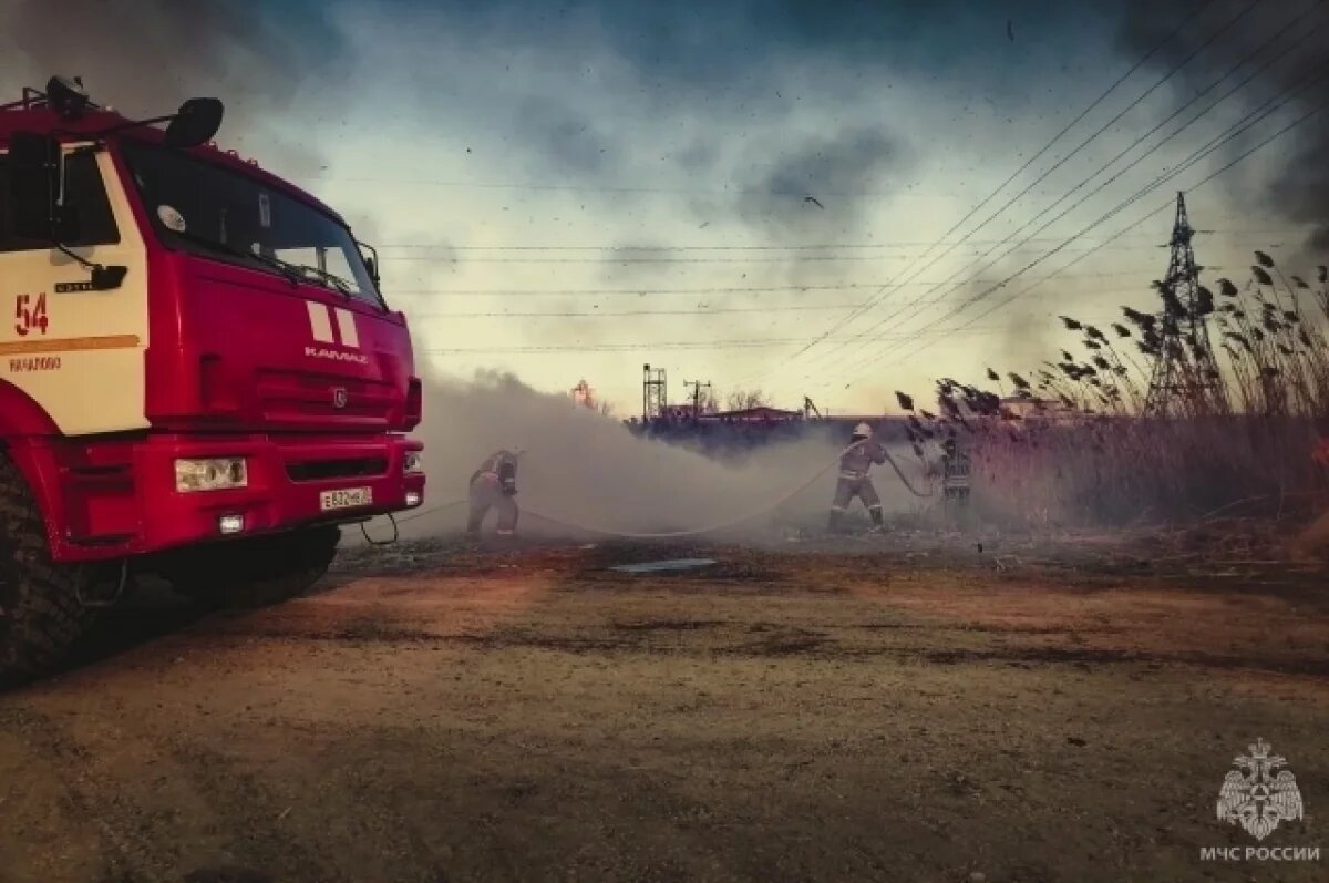    Астраханцам напомнили об ответственности за пожары в лесах и рядом с ними