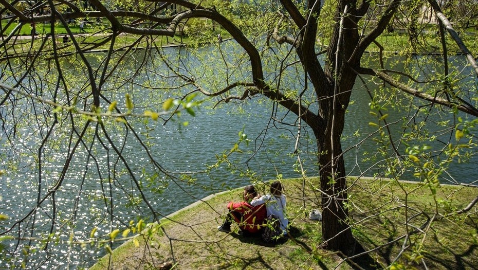    Автор фото: Ермохин Сергей/"ДП"