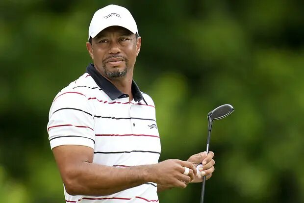    Источник: lenta.ru/ Полина Потапова