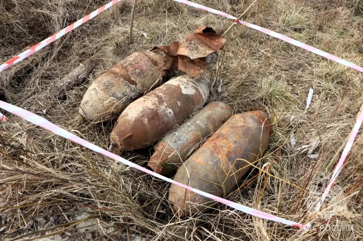    Фото: МЧС РФ