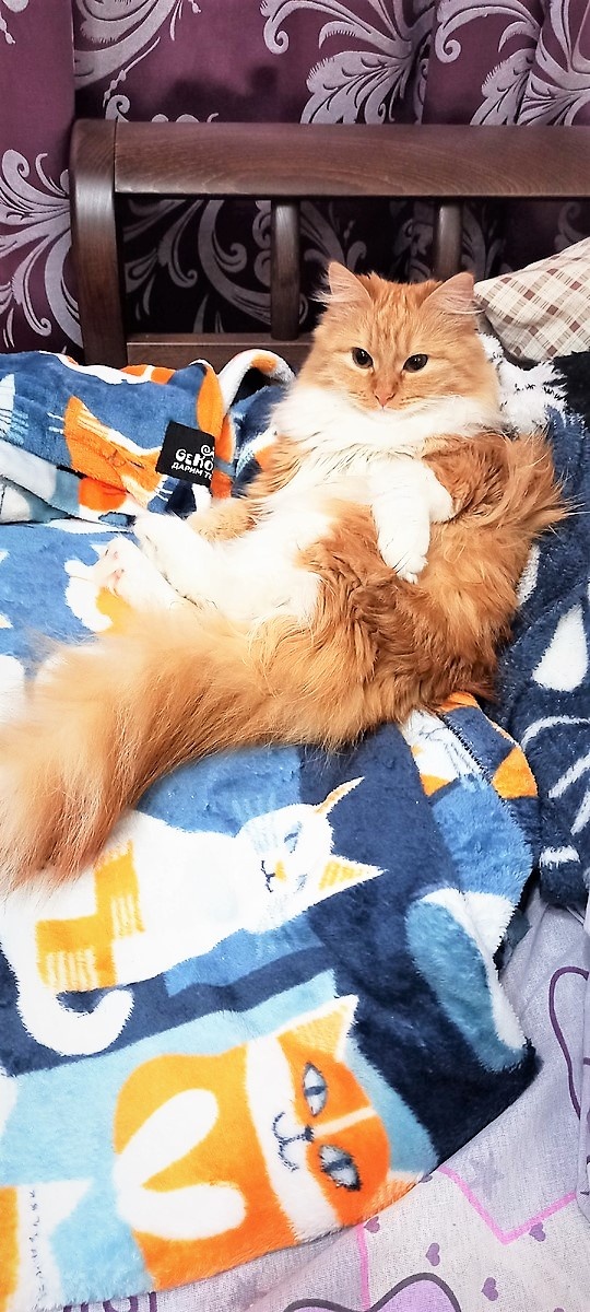 Ьлагодарю за фото НАТАЛЬЮ)