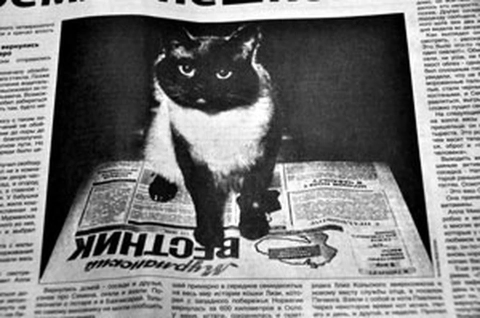 Публикация в газете «Мурманский вестник» называлась «От Кремля пешком»