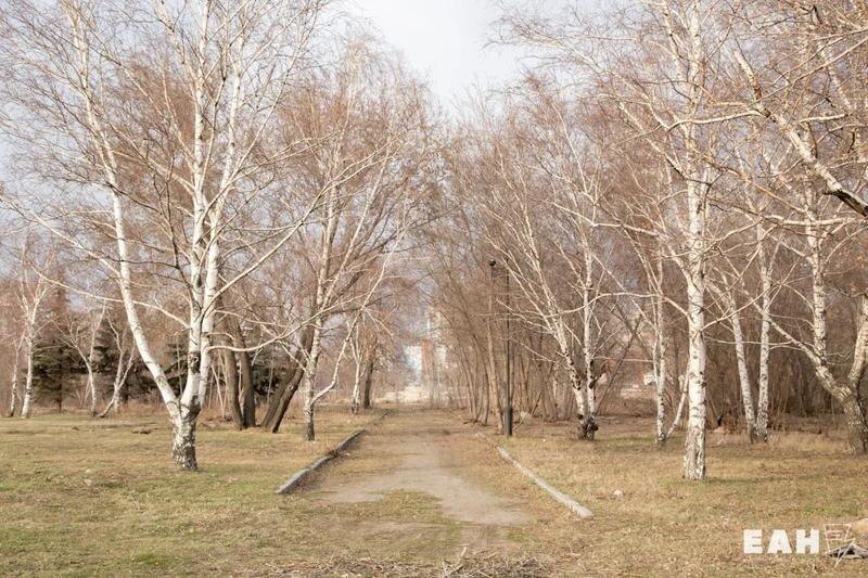    ЕАН. Березы в парке