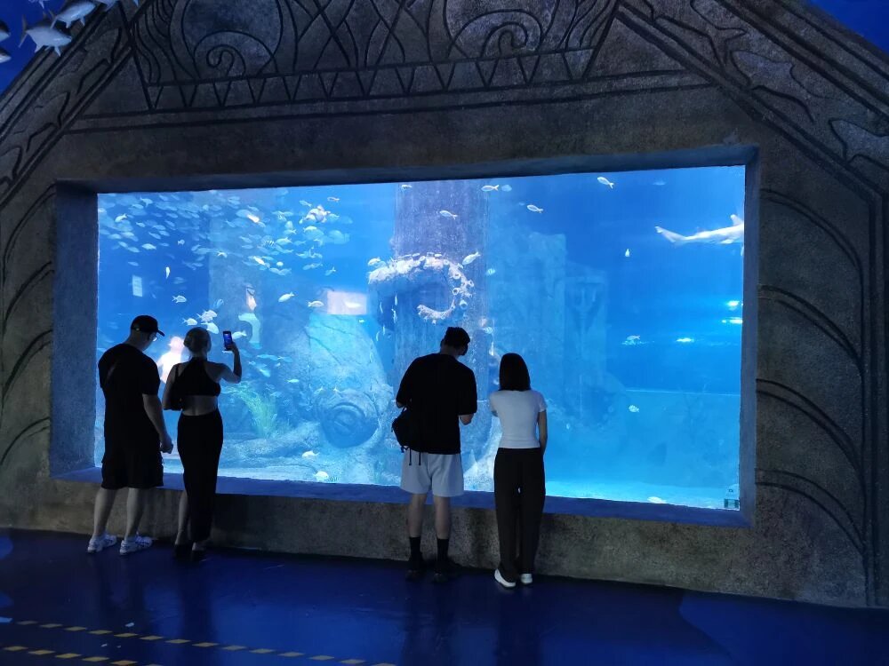 В парке развлечений Винпёрл на острове Хон Че есть Океанариум, который называется Подводный Мир. (Underwater World)
