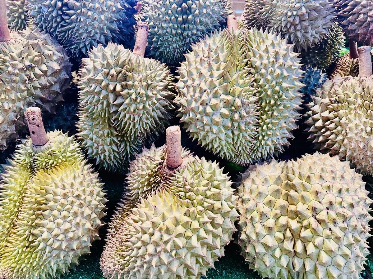    Дуриан - король фруктов. Фото: АТОР