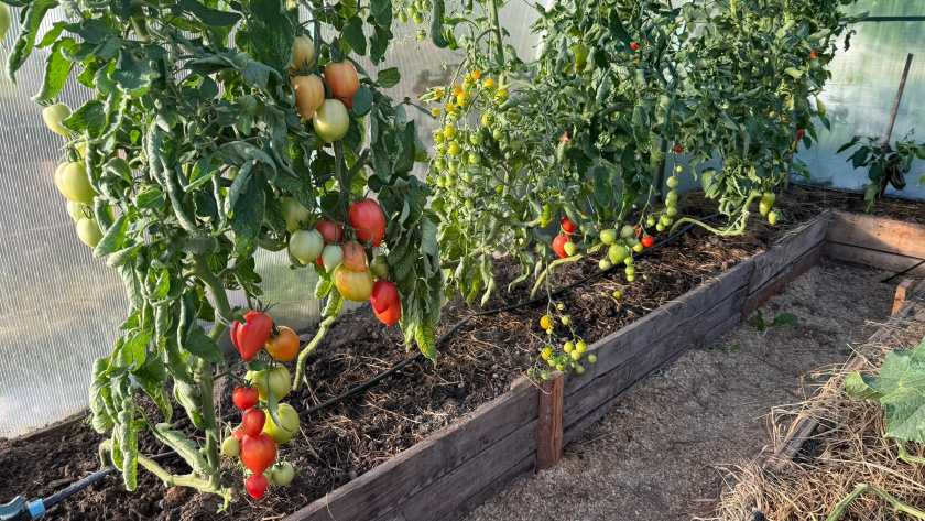    Фото: ПроГород