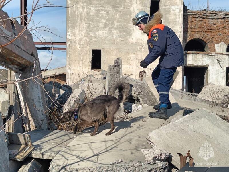     Маленькая мисс Россия и ее напарница Мира стали спасателями в Красноярске