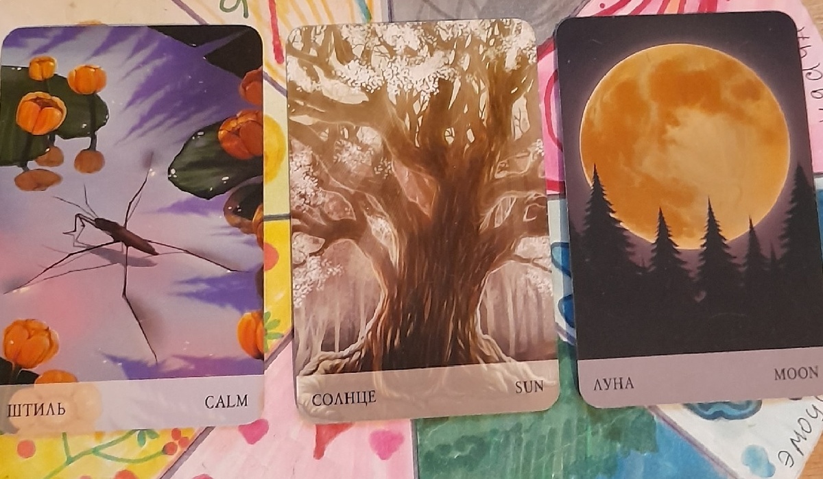 фото  автора  