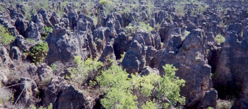 Такой безжизненный вид имеет вся центральная часть острова Науру  