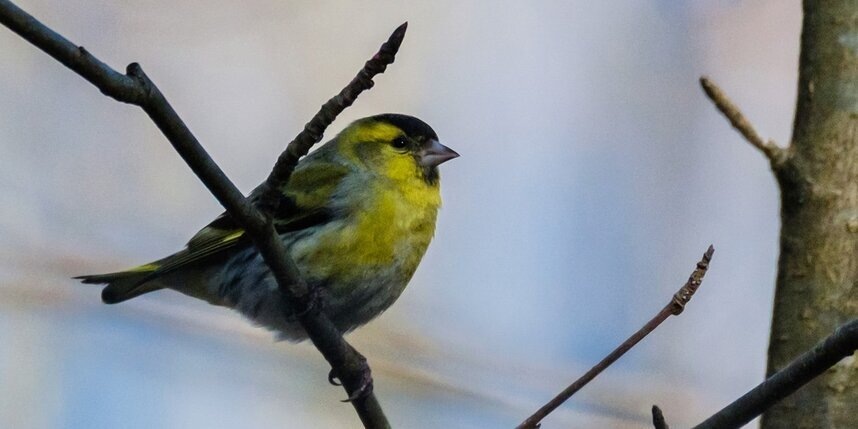 В Петербурге ожидаются теплые выходные