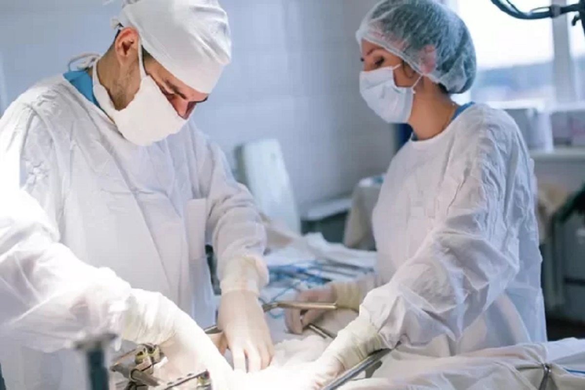    Фото: Varvara Gertier, Источник: РИА Новости