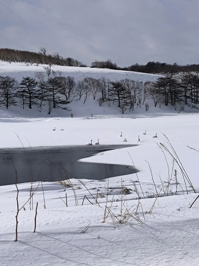 Фото не актуальное, февраль 2026, озеро Пионер