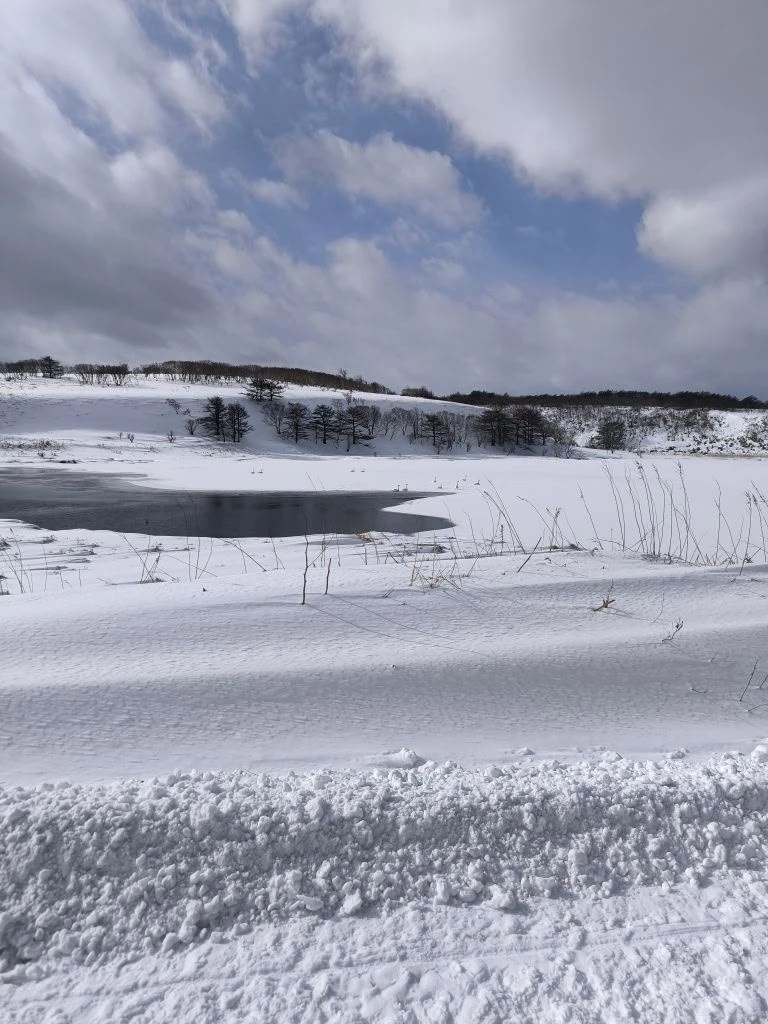 Фото не актуальное, февраль 2026, озеро Пионер