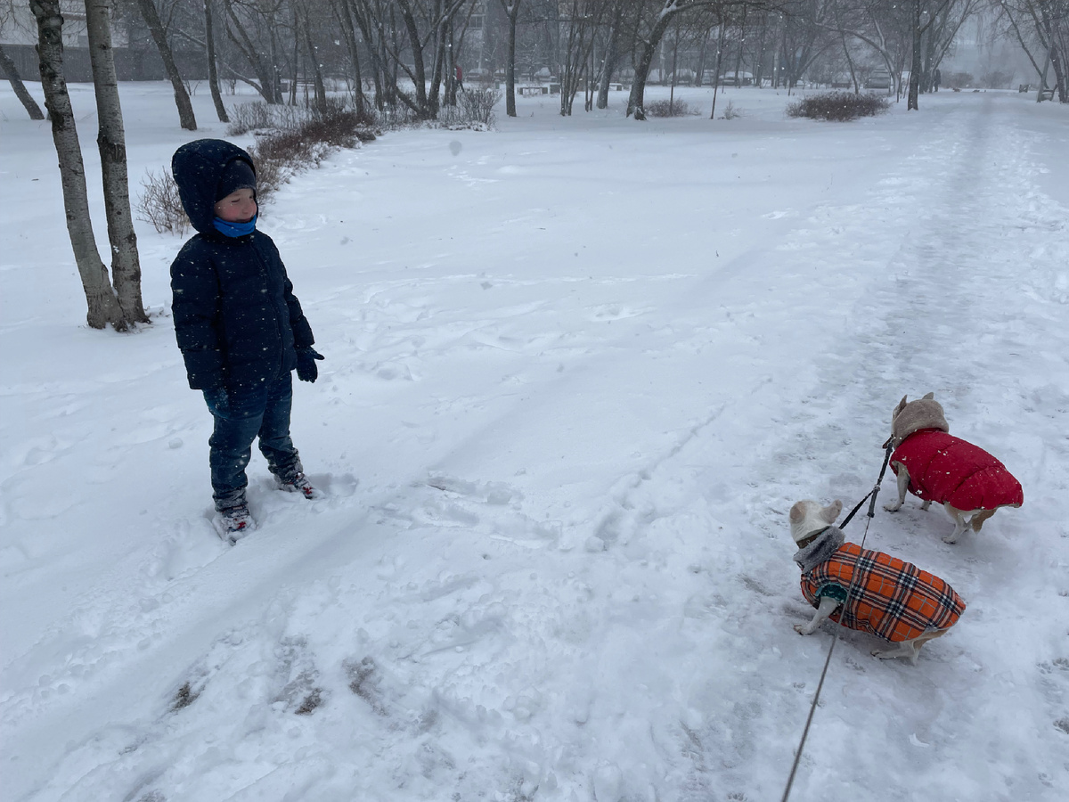 6 апреля 2025. Саша с собачками