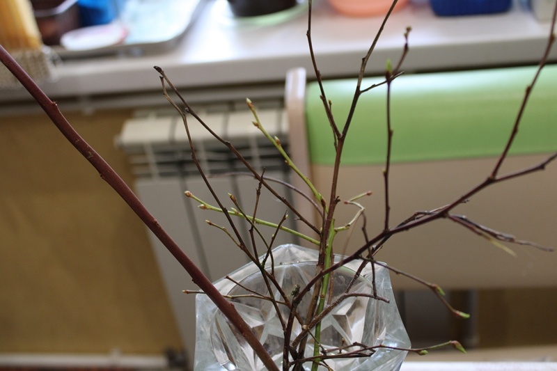 Букетик из веточек