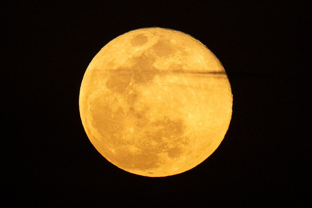     / Источник: © Then Chih Wey/Global Look Press