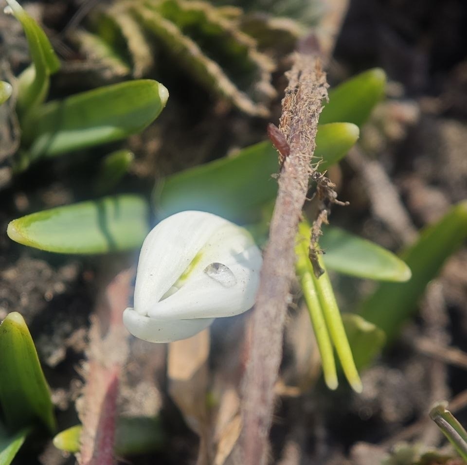 Фото дочь прислала
