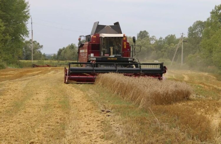    Фото: Минсельхоз Республики Башкортостан