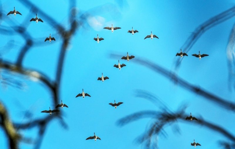     Личная страница Т. Тишиной / ВК