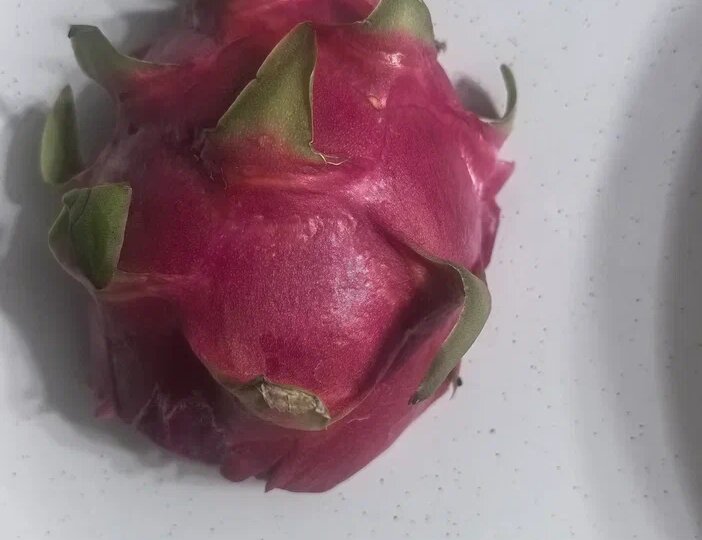 Как вырастить питахайю дома