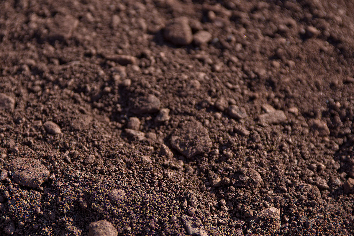 Фото с сайта: https://products.metalloinvest.com/en/catalog/iron-ore-products/iron-ore/125162/