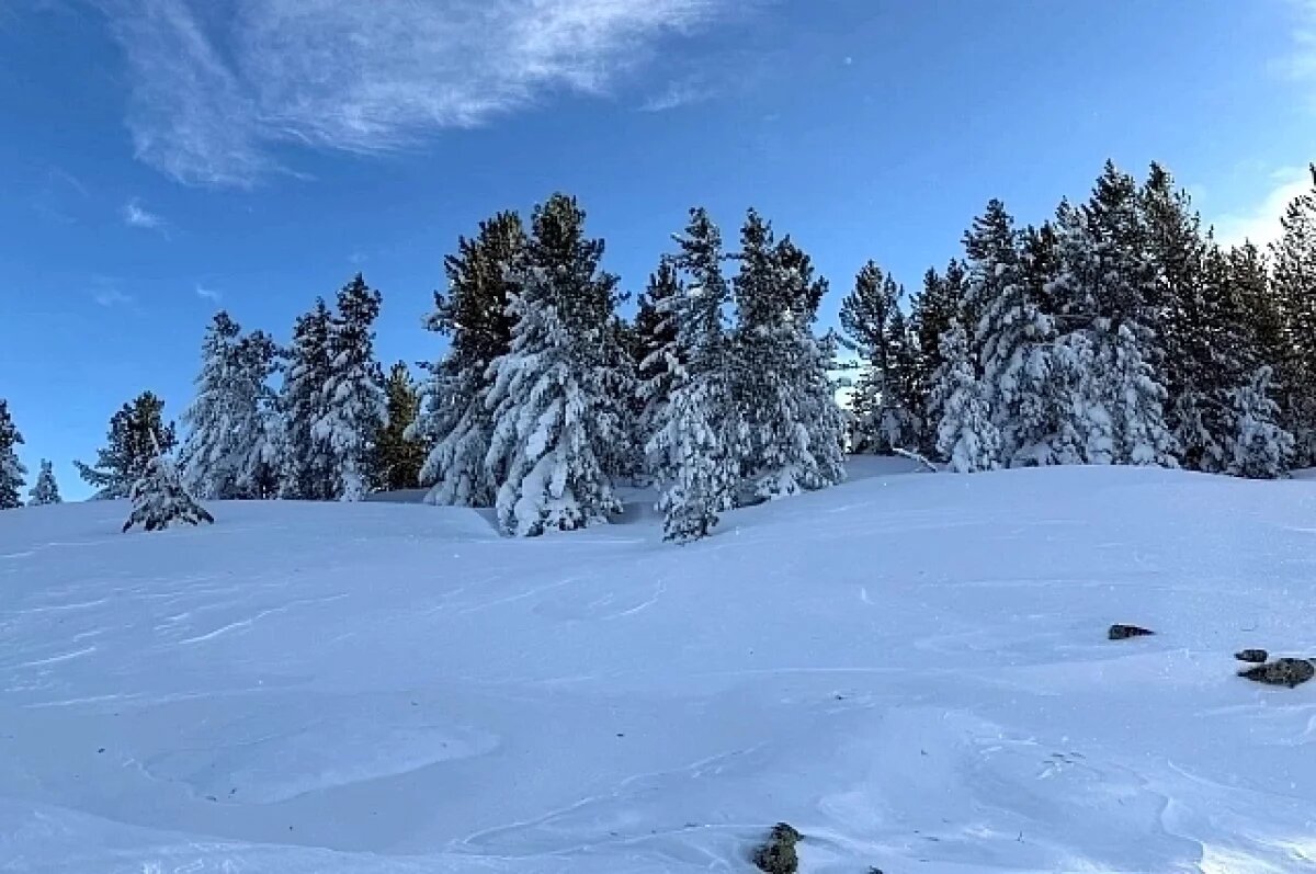    Мрачная тайна Кутурчин парадоксальным образом всё больше становится магнитом для туристов