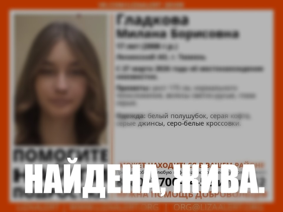    Фото: Поисковый отряд «ЛизаАлерт» Тюменской области.