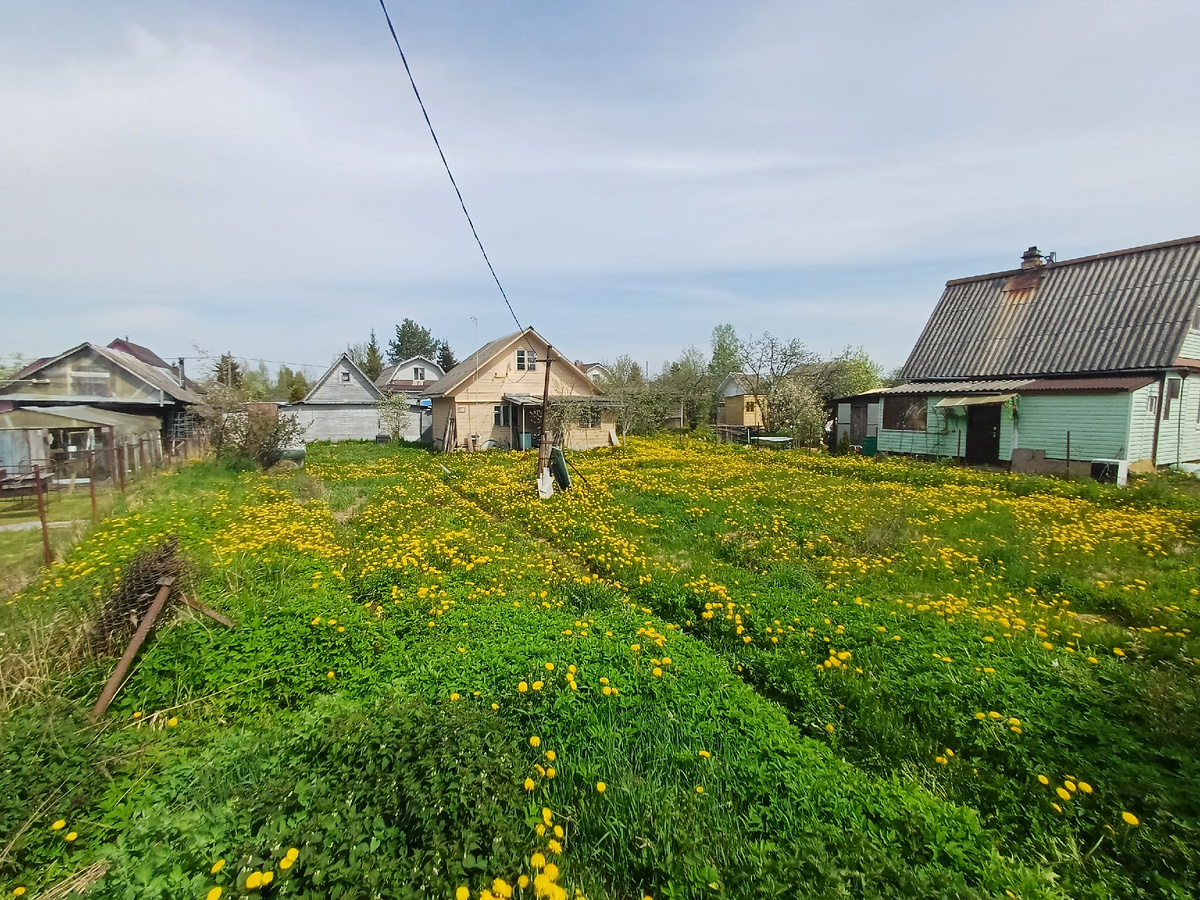 Фото автора статьи 