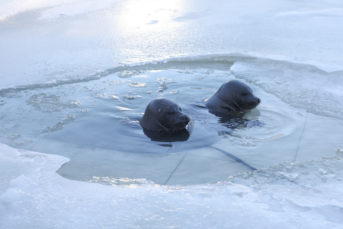 Фото: Александр Глуз 