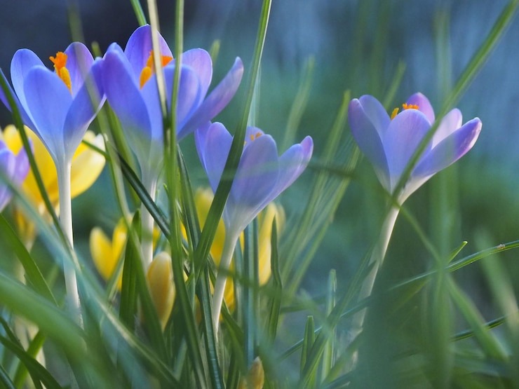 На встречу апрелю!