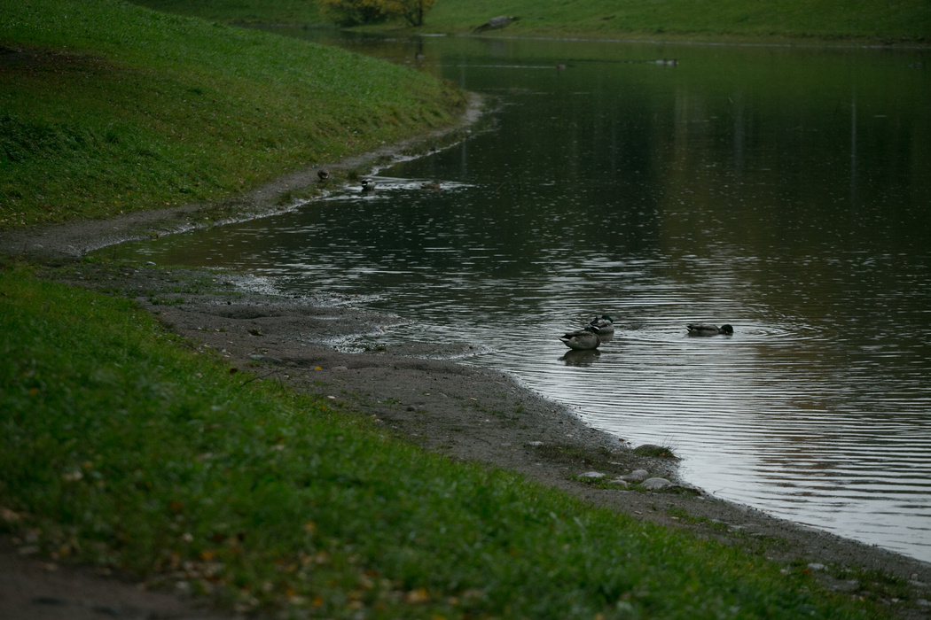    Фото: abn.agency