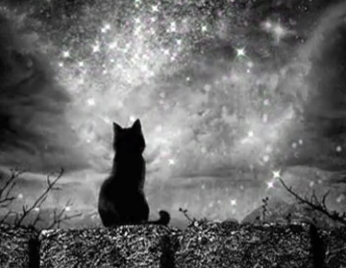 Так круг же...