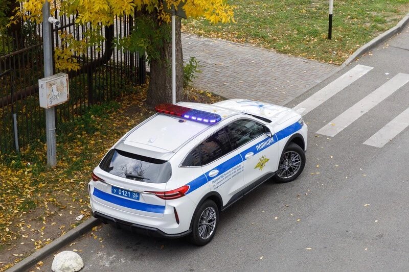      Фото: Дмитрий Ахмадуллин / / ИА «Победа26»