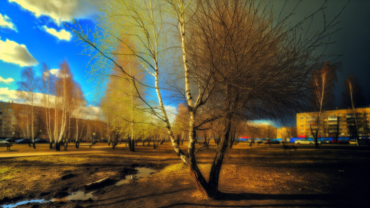    Фото - slanews.ru Юлия Андриенко