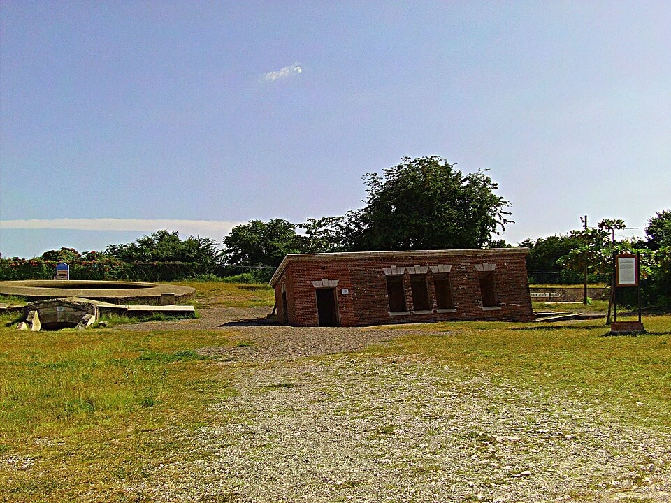 Источник: wikimedia.org