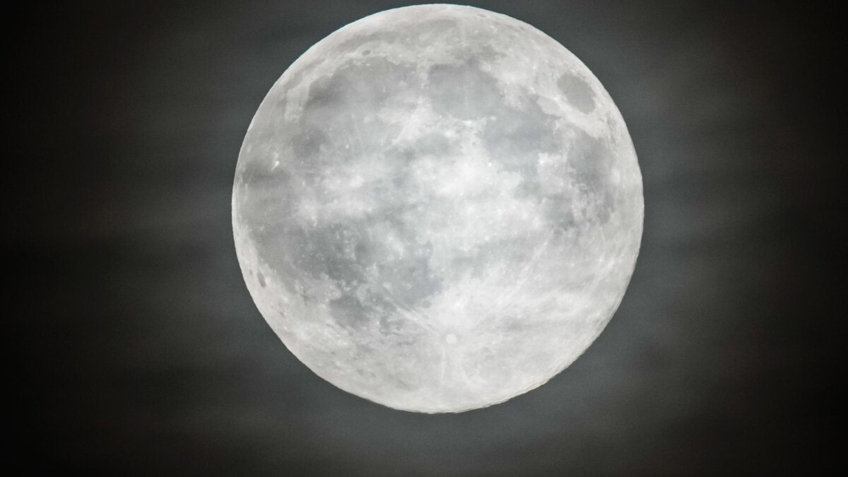 Фото: ИЗВЕСТИЯ/Сергей Лантюхов