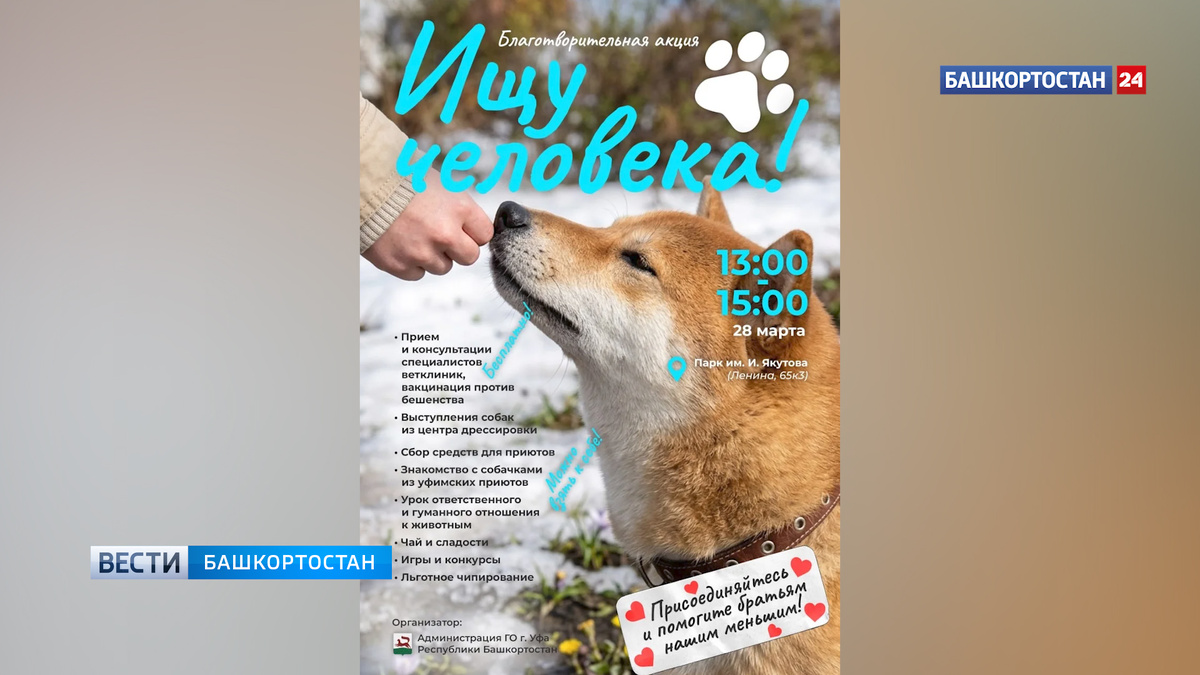    В Уфе проходит благотворительная акция «Ищу человека»