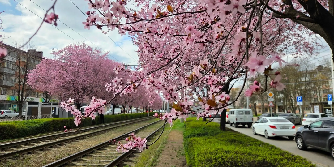 И снова здравствуйте