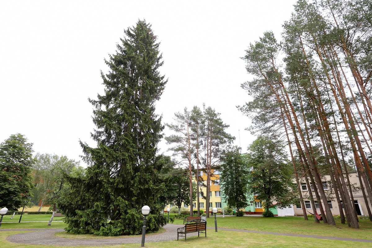    Изображение носит иллюстративный характер. Фото: Tochka.by