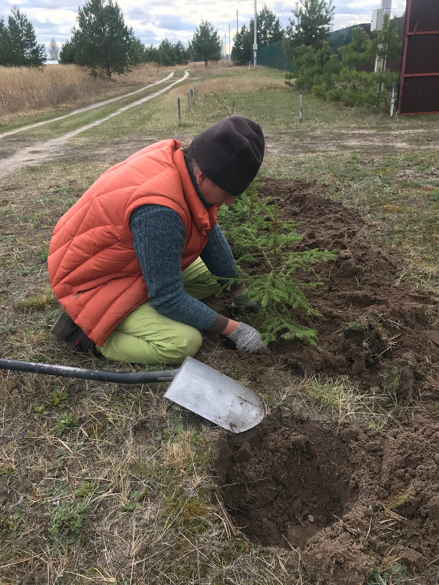 день закладки изгороди 04.2021