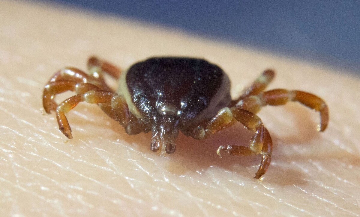     / Источник: © Global Look Press