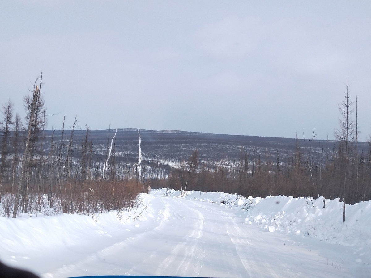 Старый и новый геологические профиля, по ним зимники и прокладывают