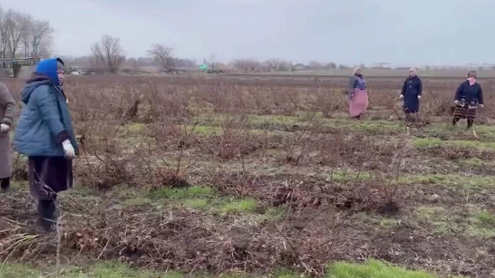 Фото: ГУ МВД по Ростовской области