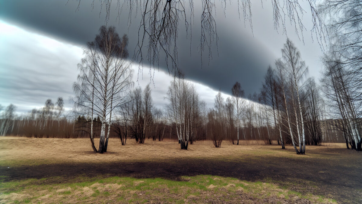    Фото - slanews.ru Никита Филлипов